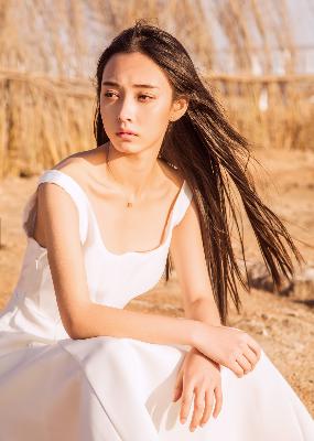 汪汪队立大功全集免费